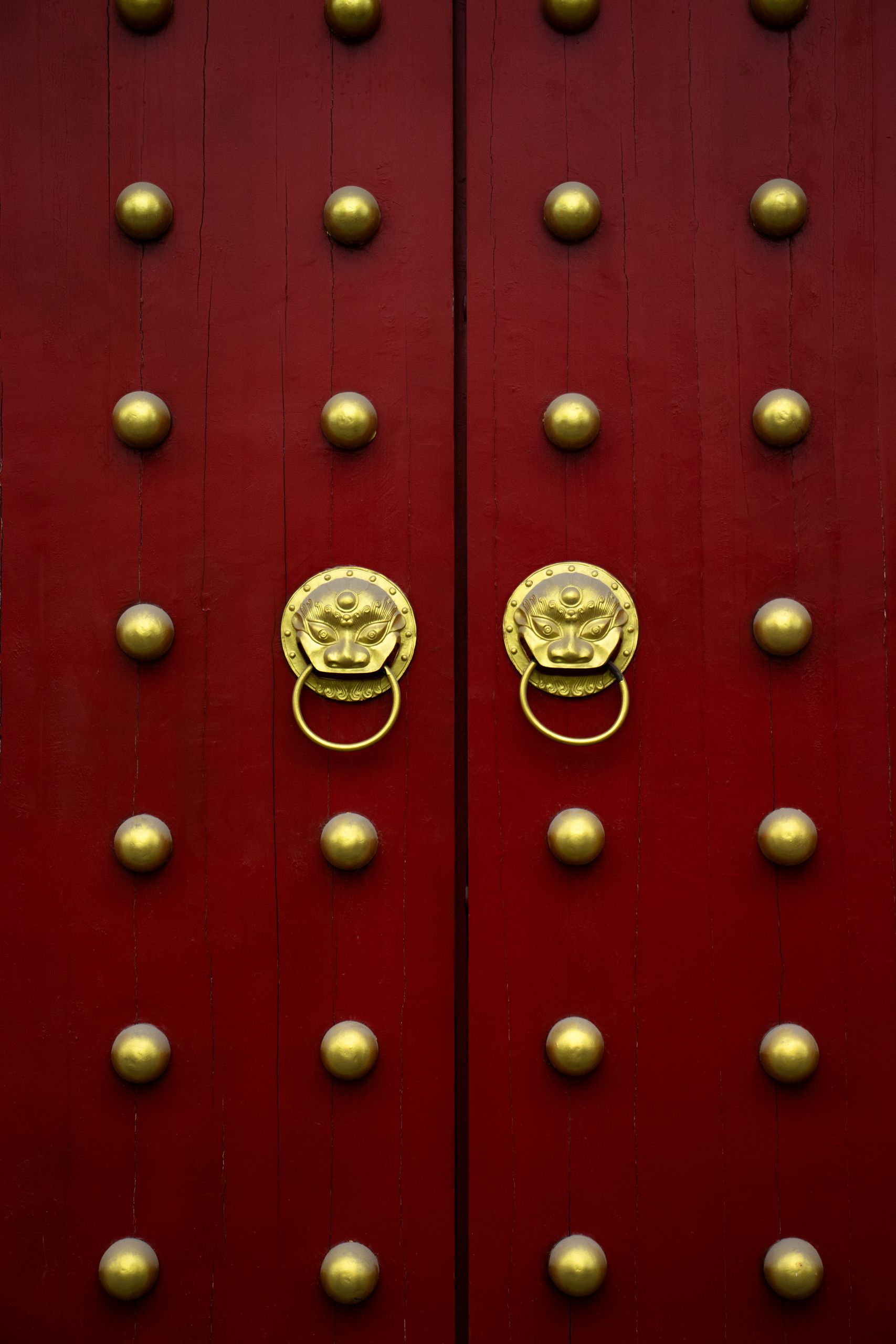Red vs Gold Review: A Clear Guide for Tender Teams
