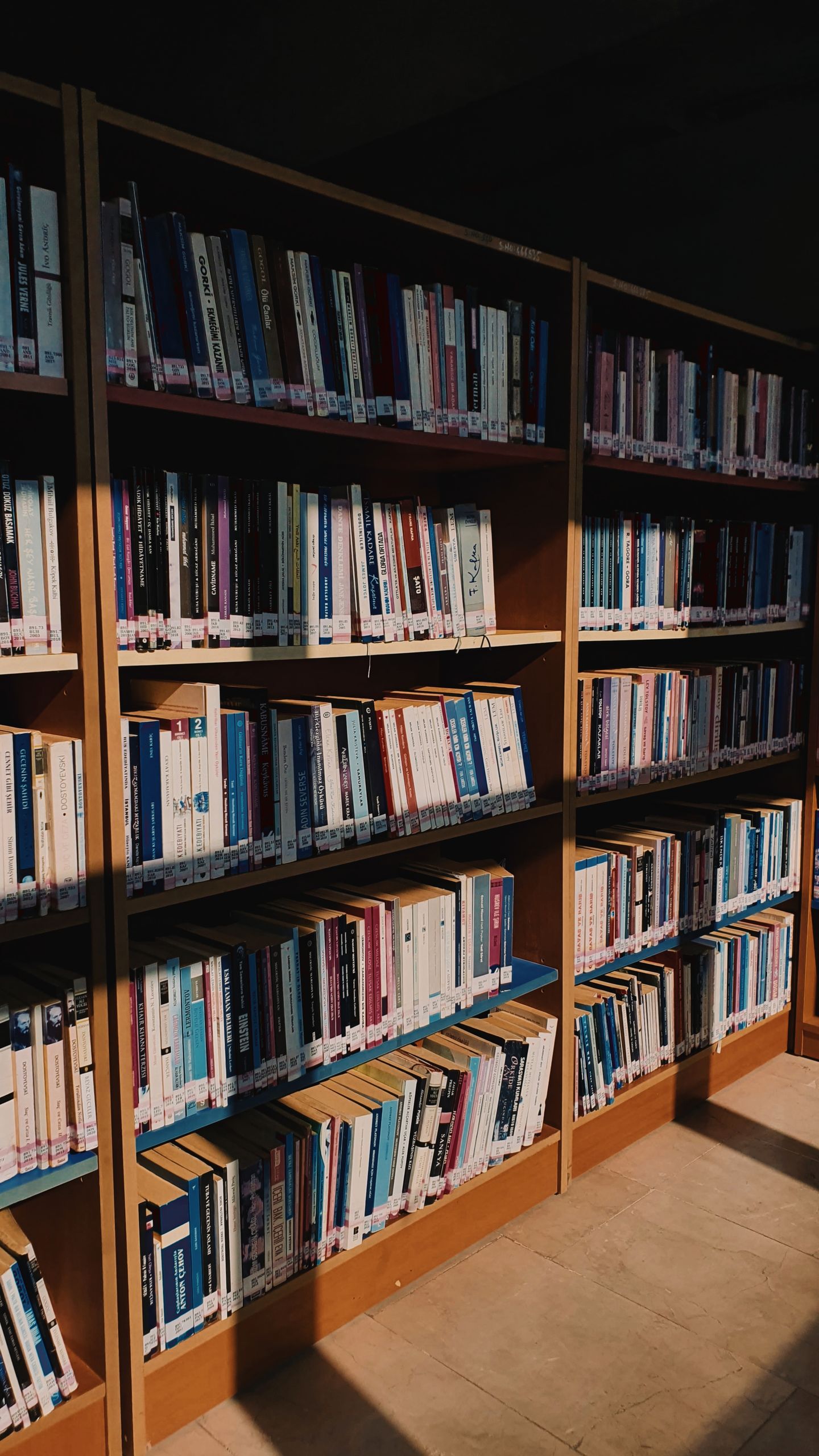 A warm interior view of library bookshelves illuminated by sunlight, showcasing an extensive book collection.