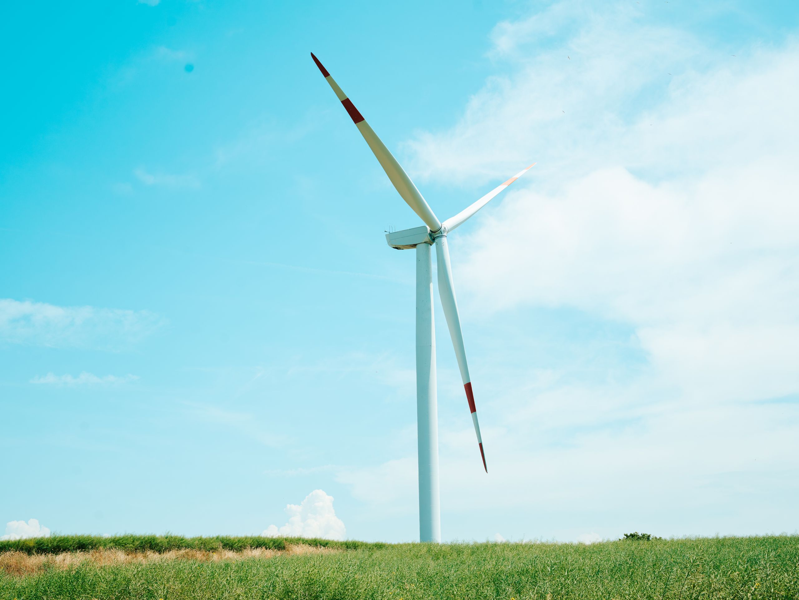 How to write a grant sustainability plan that holds up